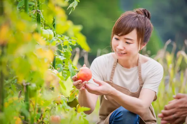 給食のイメージ画像